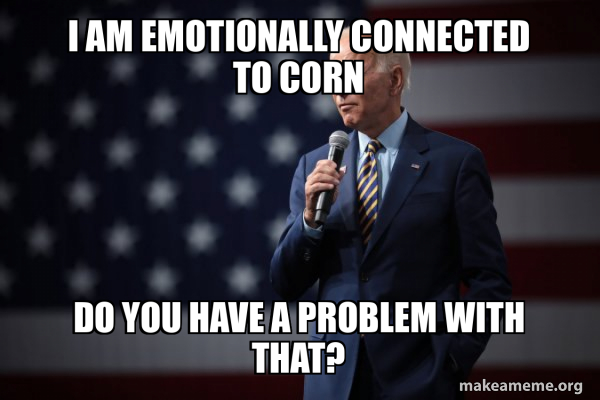 Joe Biden 2020 meme