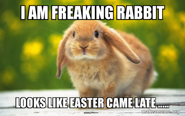Regretful Rabbit meme