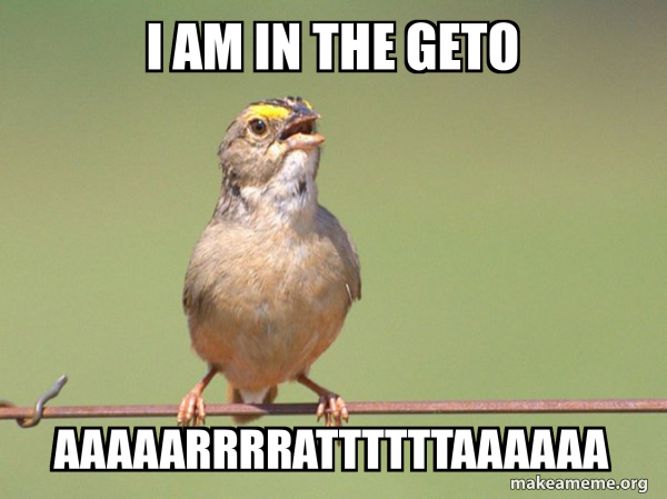 Common Opinion Sparrow meme