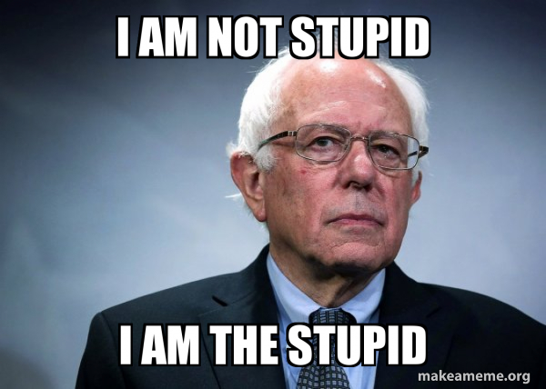 Bernie Sanders meme