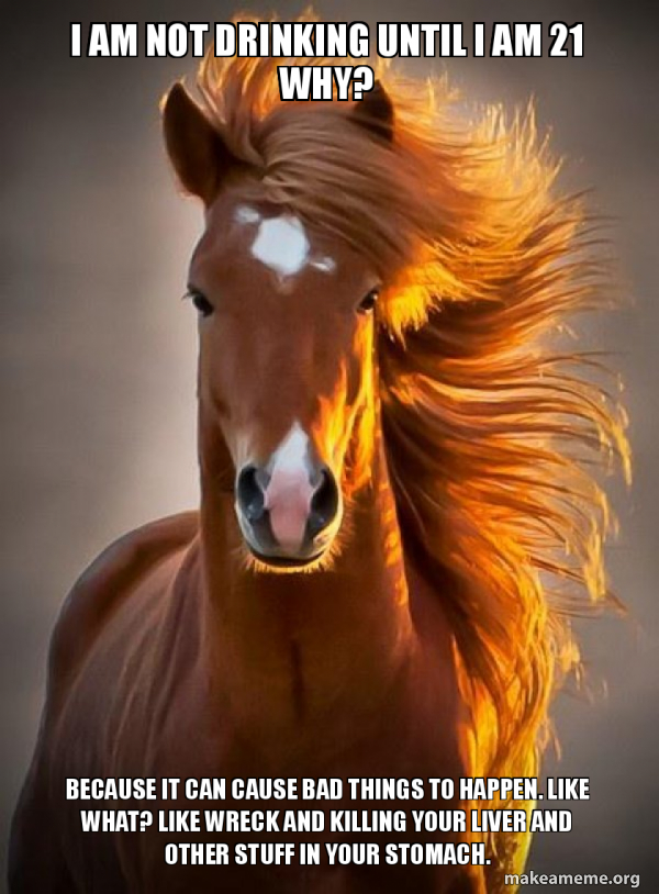 Ridiculously photogenic horse meme