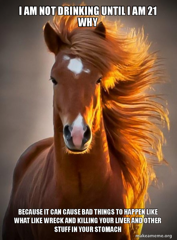 Ridiculously photogenic horse meme