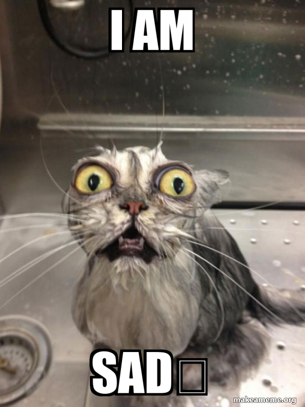 I AM SAD！ Cat bath Make a Meme
