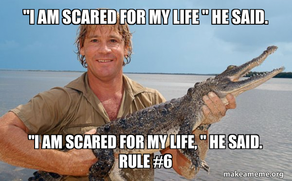 Steve irwin meme