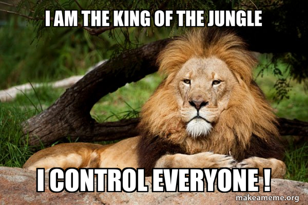 Contemplative Lion meme