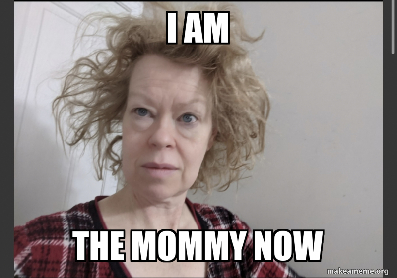 I am The mommy now Meme Generator