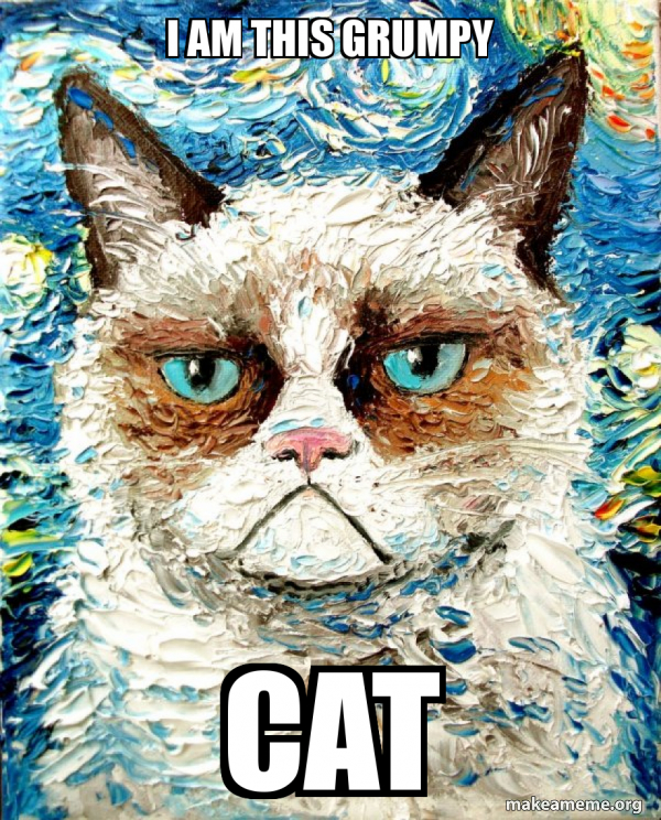 Vincent Van No - Grumpy Cat meme