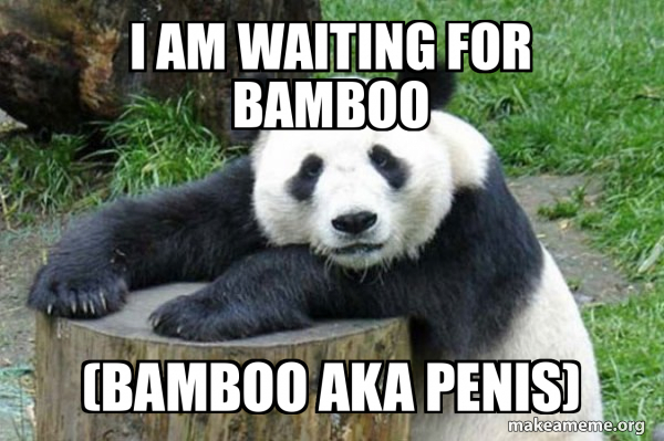 Confession Panda meme