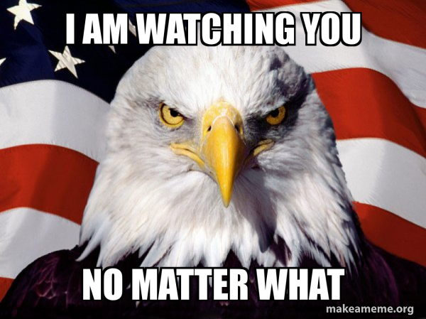 American Pride Eagle meme