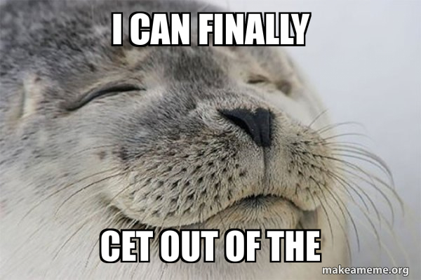Finally Out i can finally cet out of the - Satisfied Seal Meme Generator