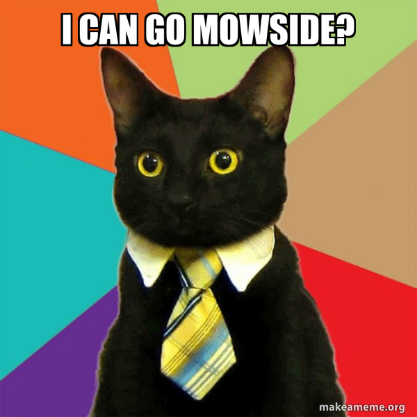 i can go mowside? - Business Cat Meme Generator