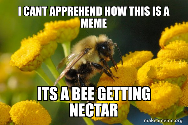 Good Guy Bee meme