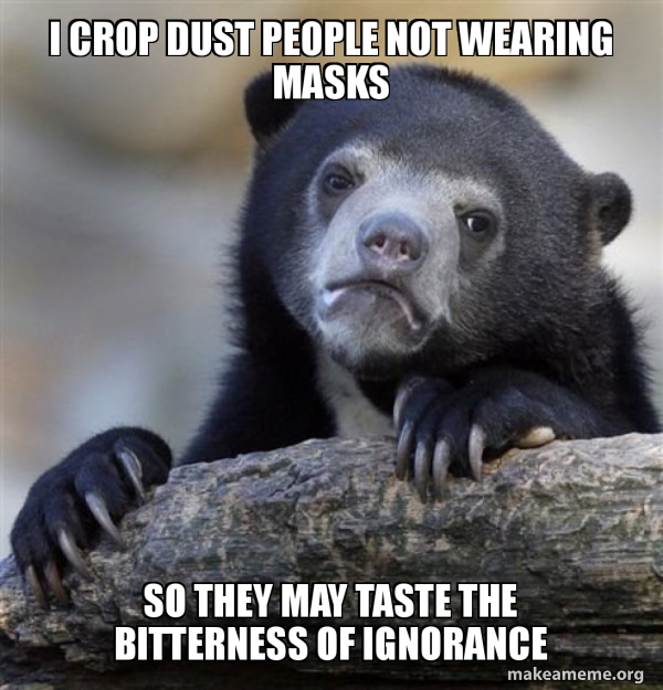 Confession Bear meme