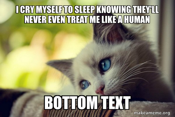 First World Cat Problems meme