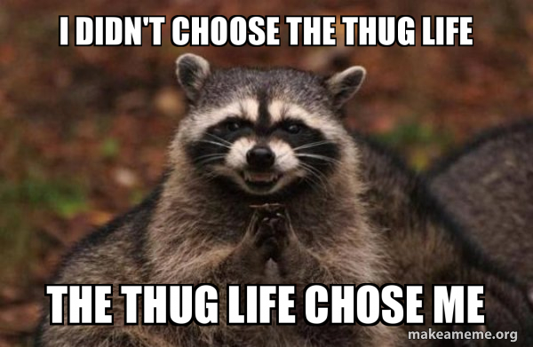 I Didn T Choose The Thug Life The Thug Life Chose Me Evil Plotting Raccoon Make A Meme