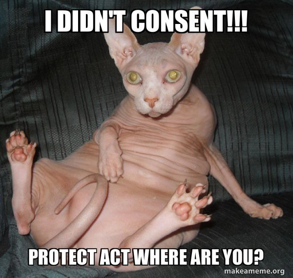 Hairless Cat meme