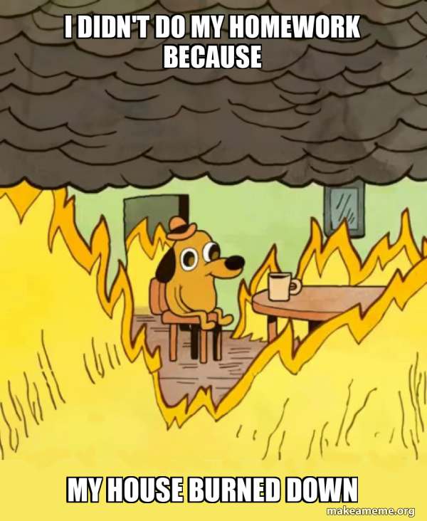 i didn't do my homework because my house burned down - This Is Fine ...