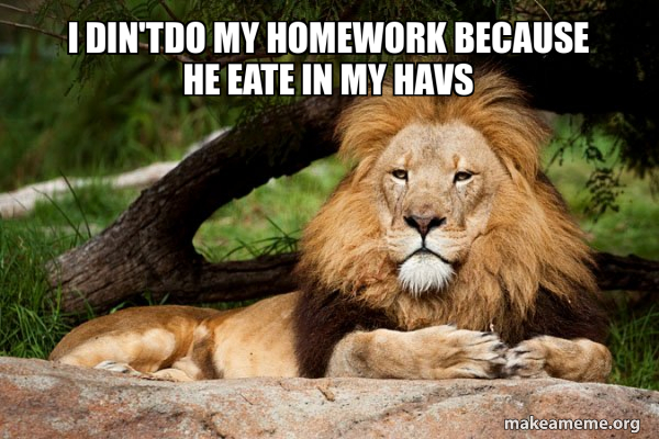 Contemplative Lion meme