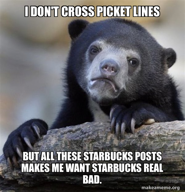 Confession Bear meme