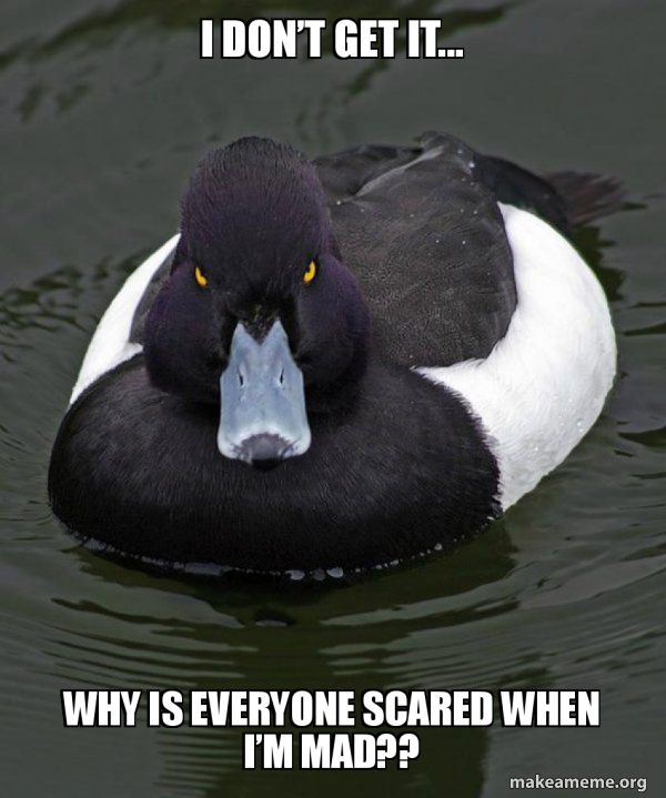 Revenge Duck ( Angry Advice Duck ) meme