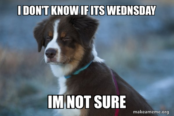 Unsure Dog meme
