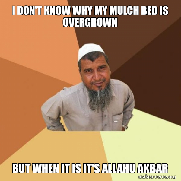 Ordinary Muslim Man meme