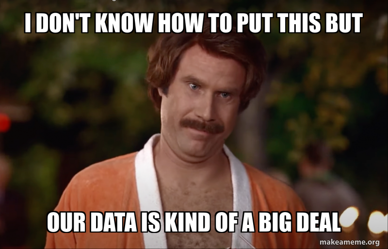 I don't know how to put this but our data is kind of a big deal Meme ...