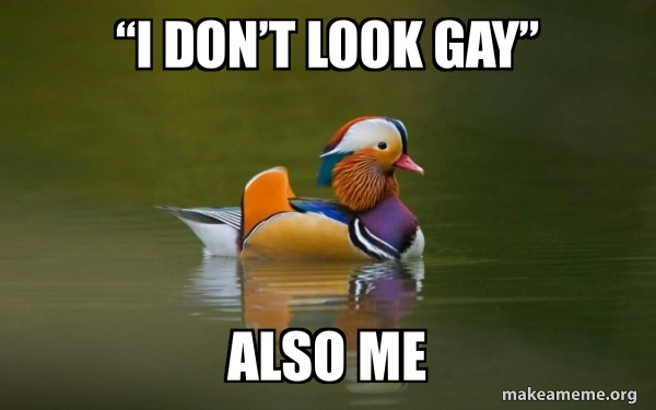 Fashionable Advice Mallard meme