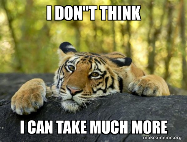 Confession Tiger meme