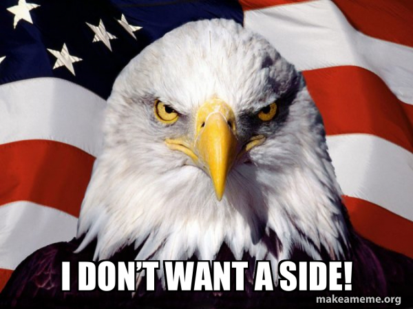 American Pride Eagle meme