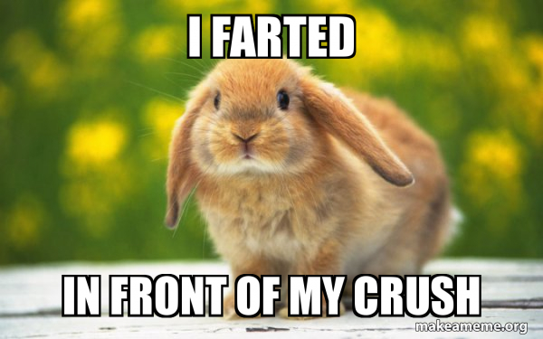 Regretful Rabbit meme