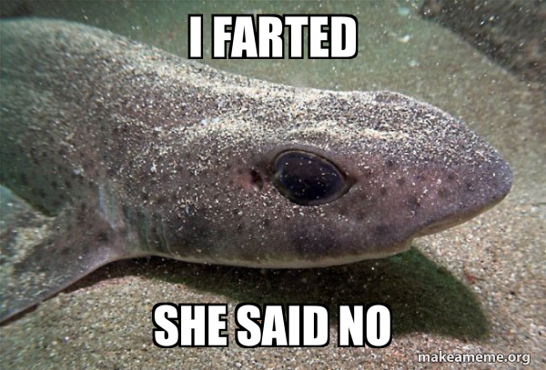 Dirty Joke Dogfish meme