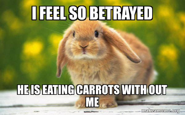 Regretful Rabbit meme