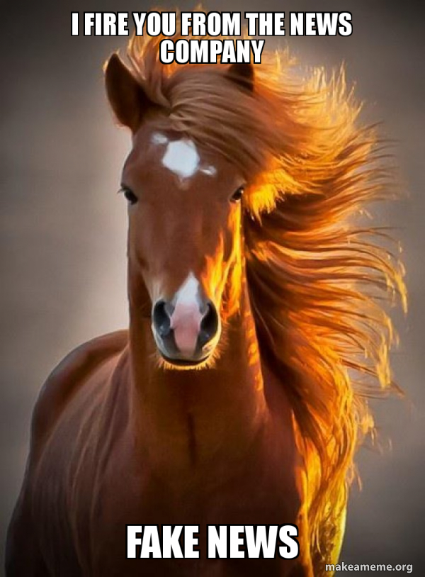 Ridiculously photogenic horse meme