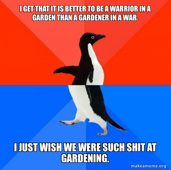 Socially Awesome Awkward Penguin meme