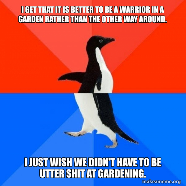 Socially Awesome Awkward Penguin meme