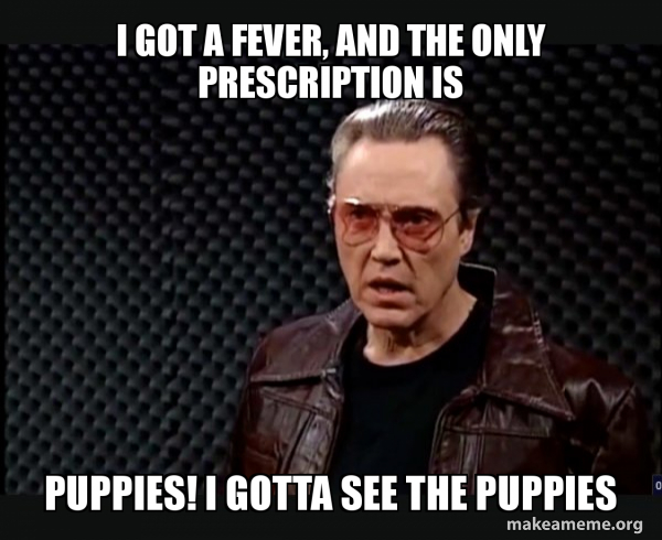 SNL - More Cowbell meme