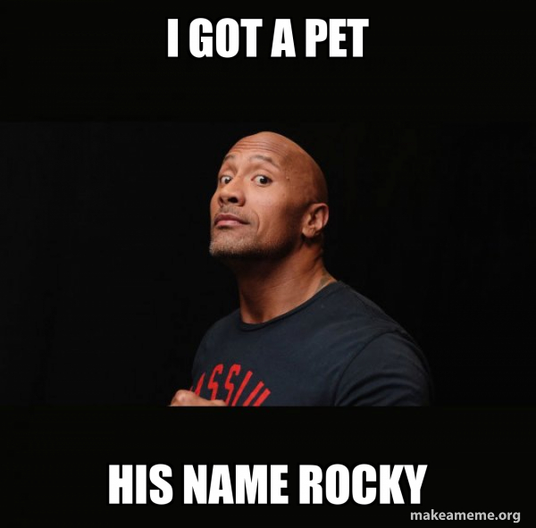 Dwayne Johnson (The Rock) meme