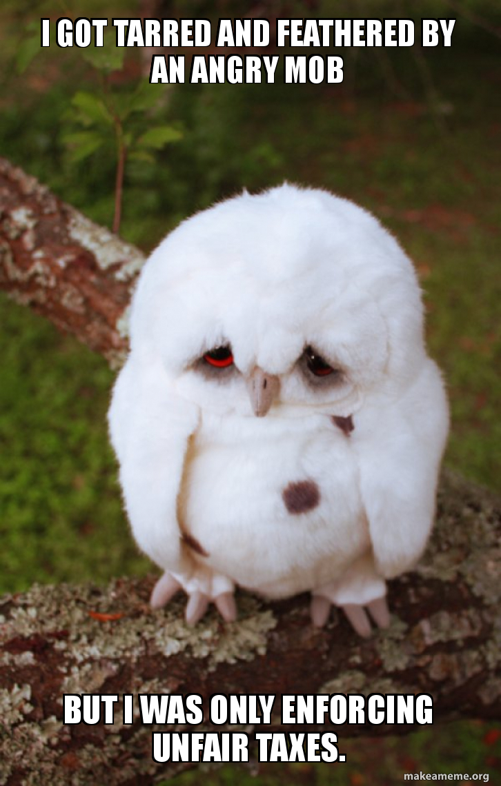 Memes / Street Fighter - TV Tropes, image size:726x1140