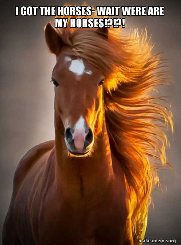 Ridiculously photogenic horse meme