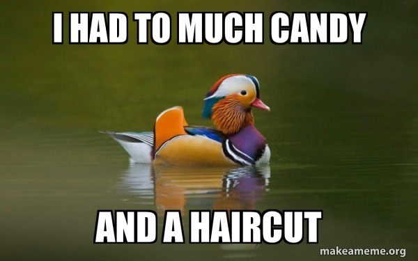 Fashionable Advice Mallard meme