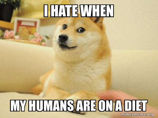 Doge meme