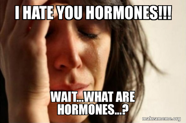 hormones meme