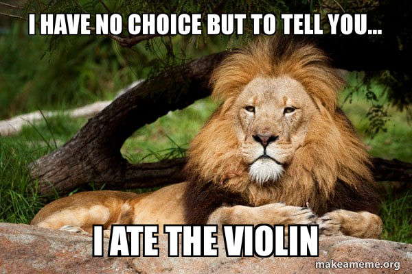 Contemplative Lion meme