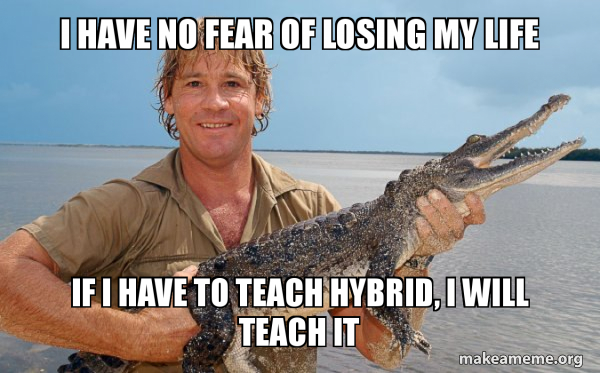 Steve irwin meme