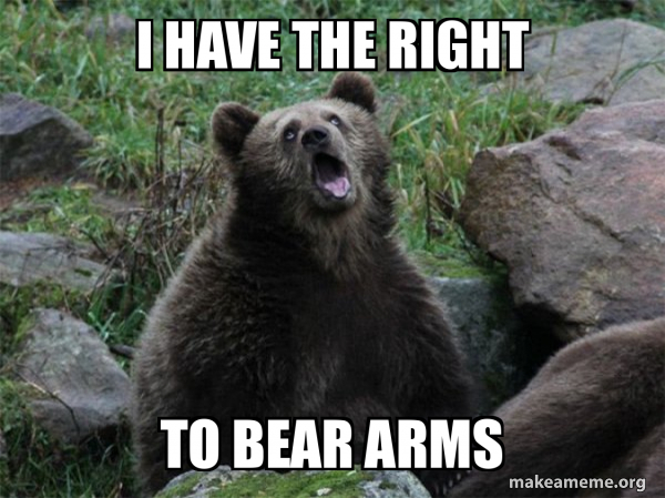 Sarcastic Bear meme