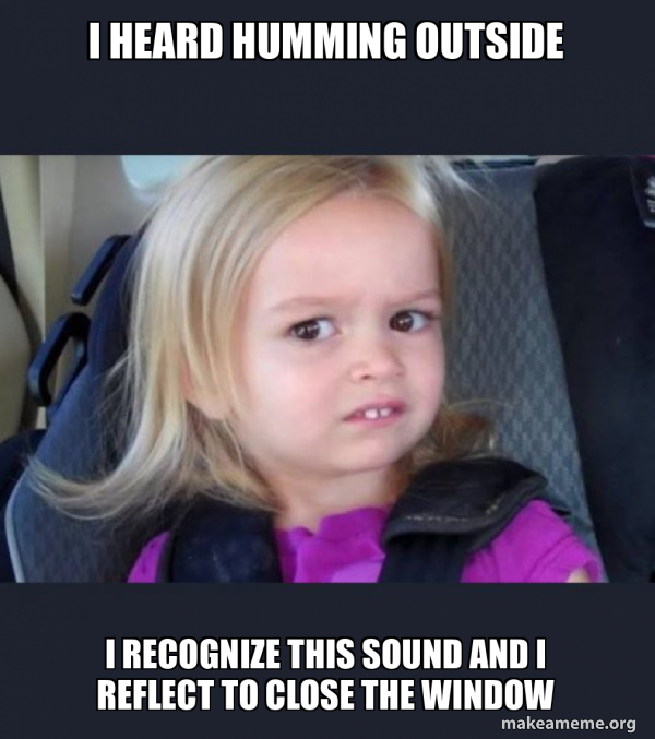 I heard humming outside I recognize this sound and I reflect to close