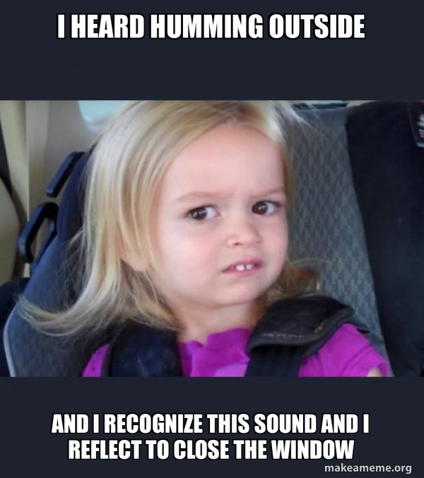 I heard humming outside and I recognize this sound and I reflect to