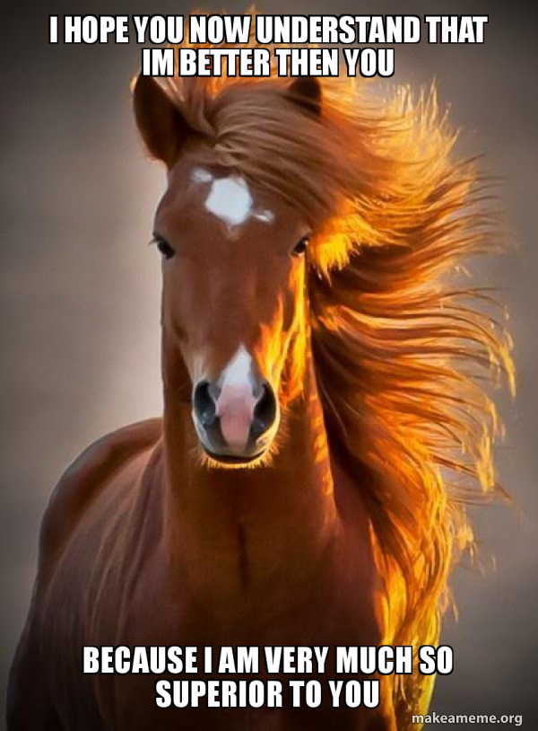 Ridiculously photogenic horse meme