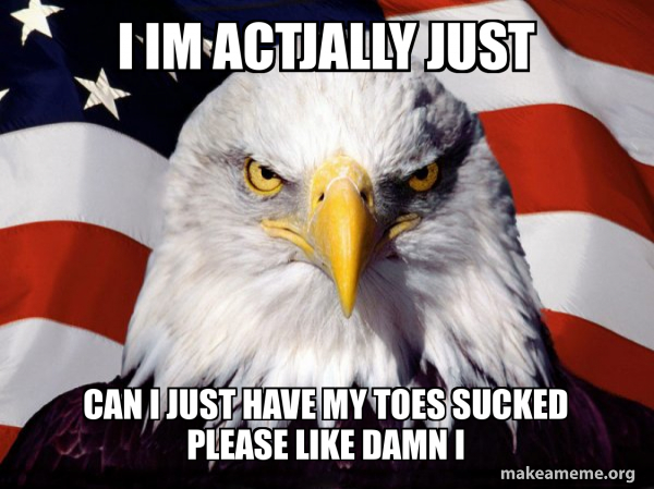 American Pride Eagle meme